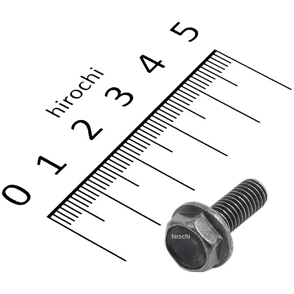 ボルト フランジ 6X16 96300-0601607