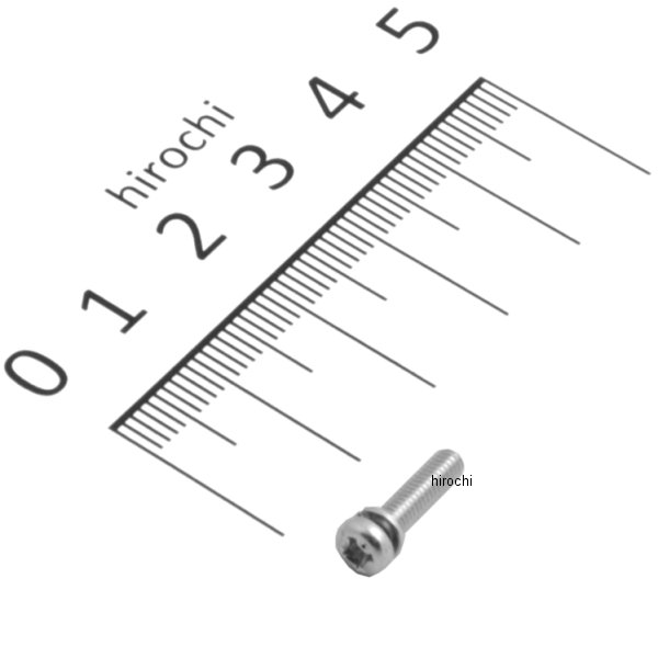 スクリューワッシャー 3×12 93892-030121H