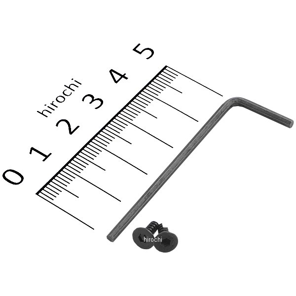 補修用レンズビス&六角レンチセット 汎用 ライトウイエイトLEDウインカー用 黒 2本セット