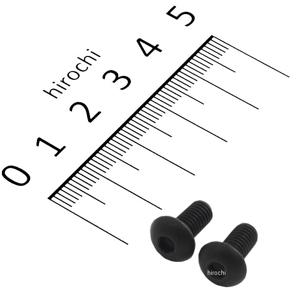 ステンレスブラックボタンキャップボルト M5X10 黒 2個入り