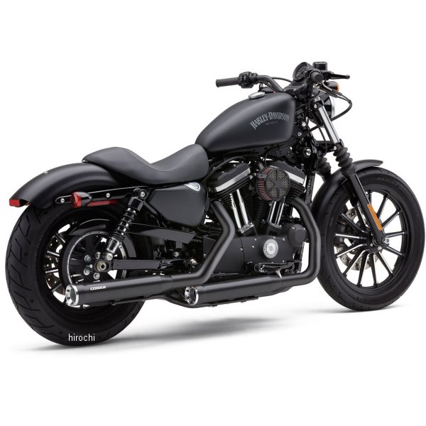 3インチ スリップオンマフラー RPT 04年-13年 XL