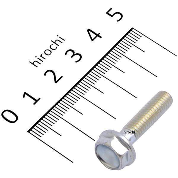 フランジボルト 6X25 96300-0602500