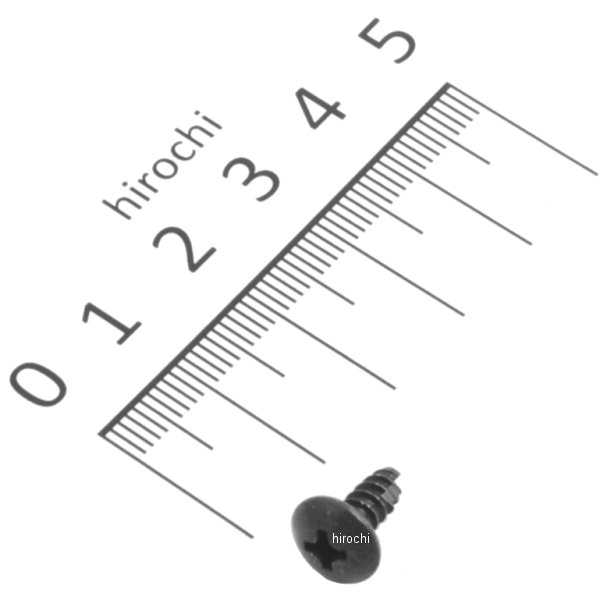 スクリュー タッピング 4×10 93903-34280