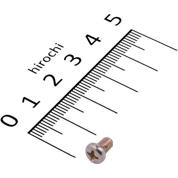 パンスクリュー 4X6 93500-040060H