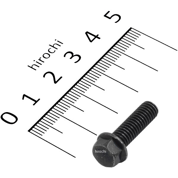 フランジボルト 6X20 96001-0602007