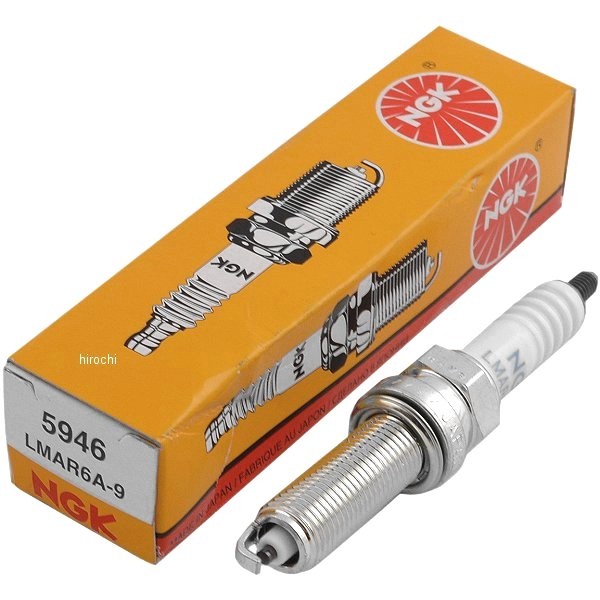 5946  一般プラグ ネジ型