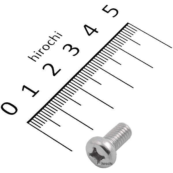 スクリュー パン 6X12 93500-060124J