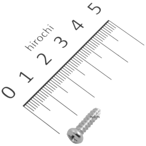 スクリュー タッピング 4X12 (P0) 93911-24310