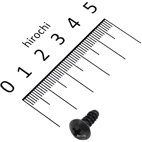 スクリュー タッピング 4X12 (P0) 93913-24280