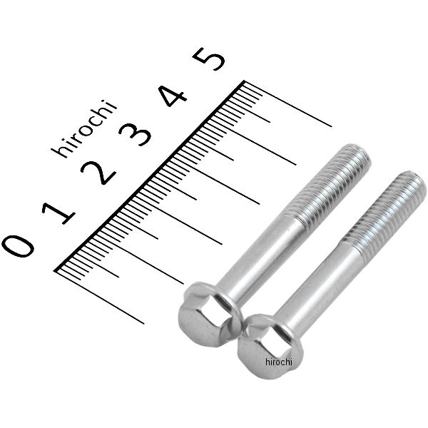 ホンダ純正タイプ フランジ六角ボルト ユニクロ M6x40 P1.0 2本入り