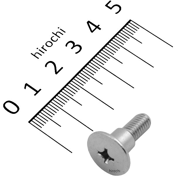 スペシャルスクリュー 6X8 90104-MJ0-660