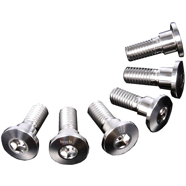 チタンブレーキディスクボルト 92年-15年 ホンダ、スズキ、カワサキ シンヘッド φ10-M8X22 6本入り