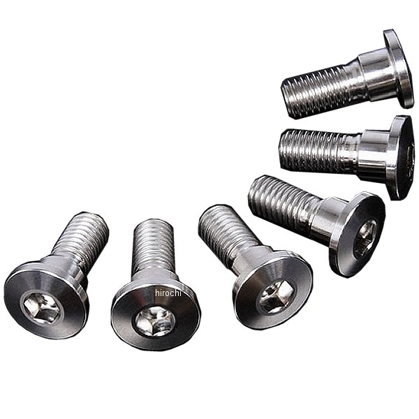 チタンブレーキディスクボルト 91年-00年 DR800S、DR650SE シンヘッド φ10-M8X20 6本入り