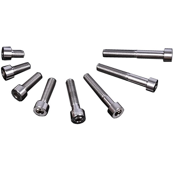 チタンキャップボルト 汎用 ストレート M6 P1.0 16mm 1本入り