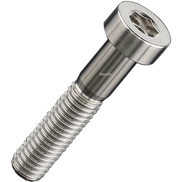 チタンキャップボルト 汎用 ローヘッド M5 P0.8 25mm 1本入り