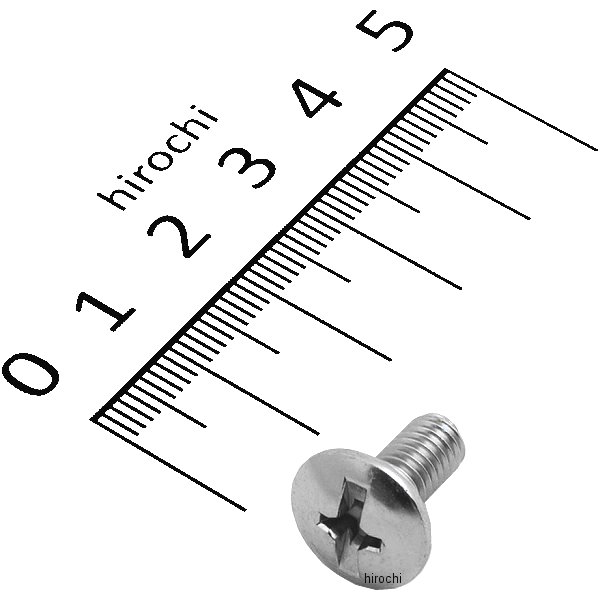 スクリュー M6×13