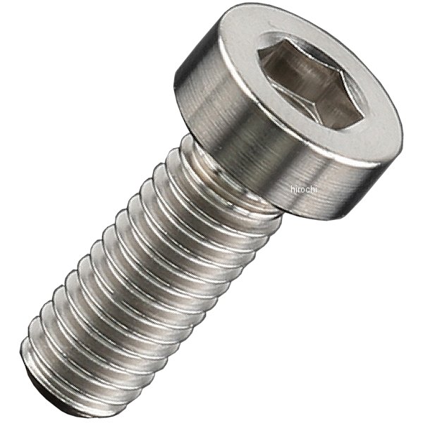 チタンキャップボルト 汎用 ローヘッド M6 P1.0 16mm 1本入り