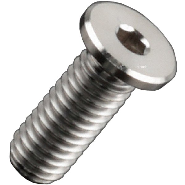 チタンキャップボルト 汎用 エクストラローヘッド M6 P1.0 16mm 1本入り