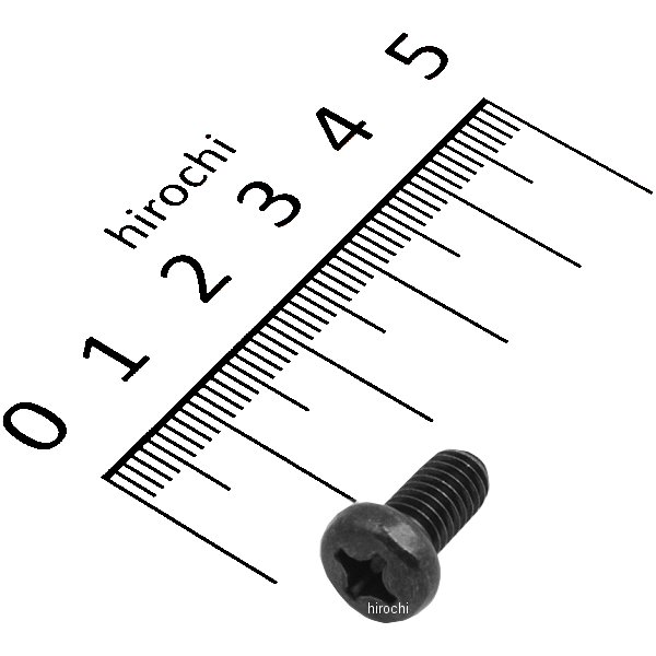 スクリュー パン 6X12 93500-060120G