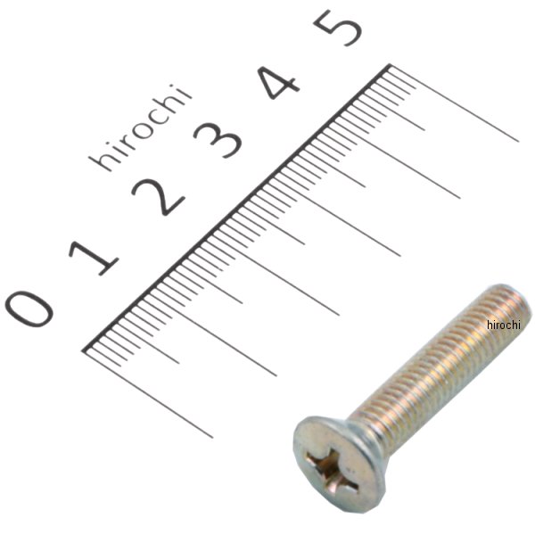 スクリュー オーバル 6X30 0A 93700-06030