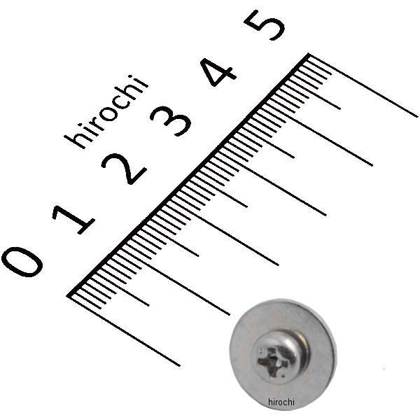 スクリューワッシャー 4X10 93894-04010-10