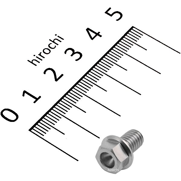 チタンフランジボルト 汎用 スタンダード M6 P1.0 10mm 1本入り