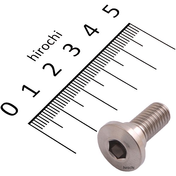 チタンブレーキディスクボルト シンヘッド φ10-M8X20 1本入り