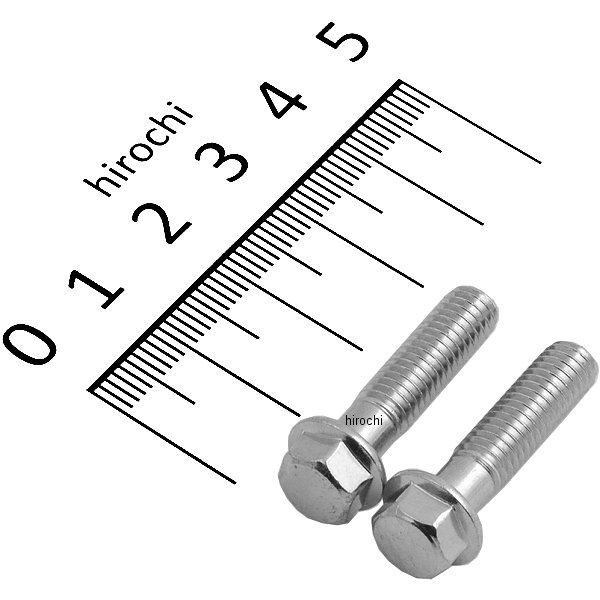 ホンダ純正タイプ フランジ六角ボルト ユニクロ M6x25 P1.0 2本入り