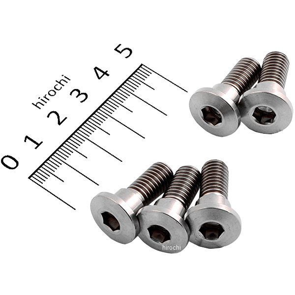 チタンブレーキディスクボルト 92年-15年 ホンダ、スズキ、カワサキ シンヘッド φ10-M8X22 5本入り