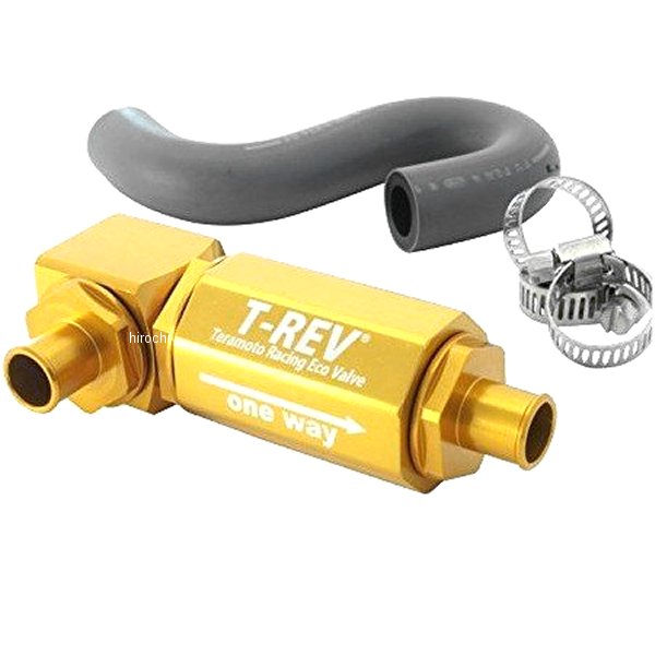 テラモト TERAMONO T-REV BMW C650GT ゴールド