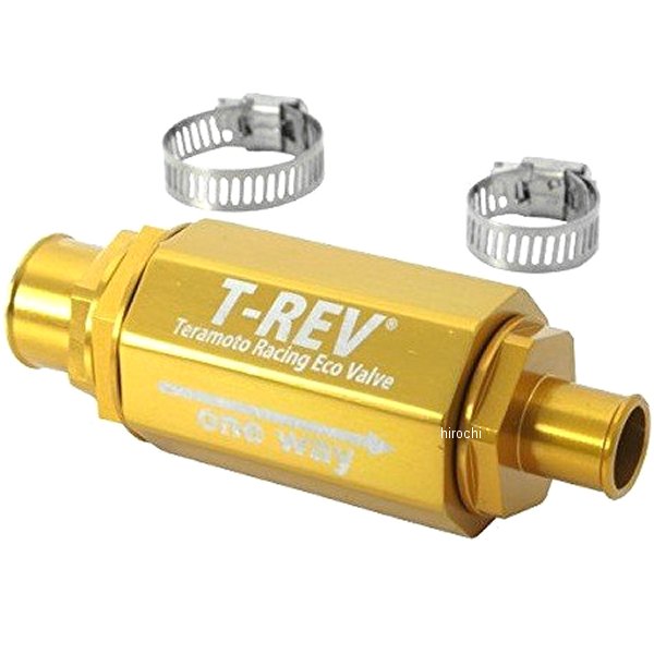 テラモト TERAMONO T-REV ZZR1100 ゴールド