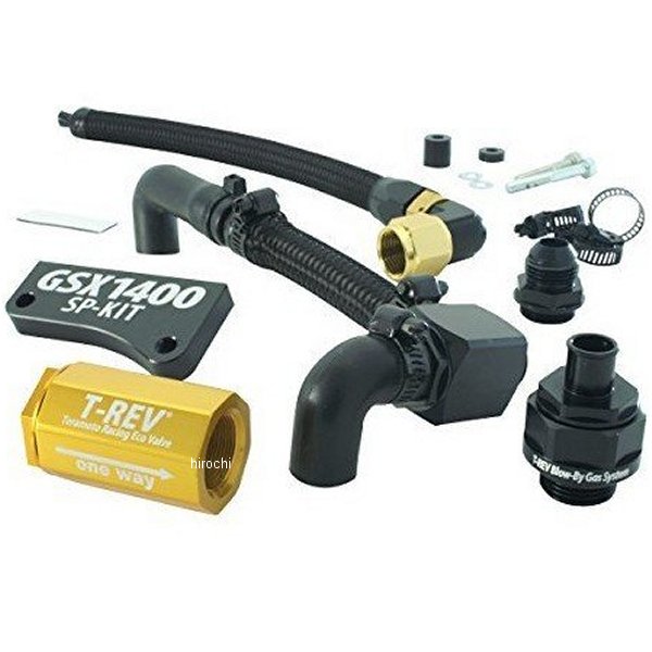 テラモト TERAMONO T-REV SPフルキット GSX1400 ゴールド