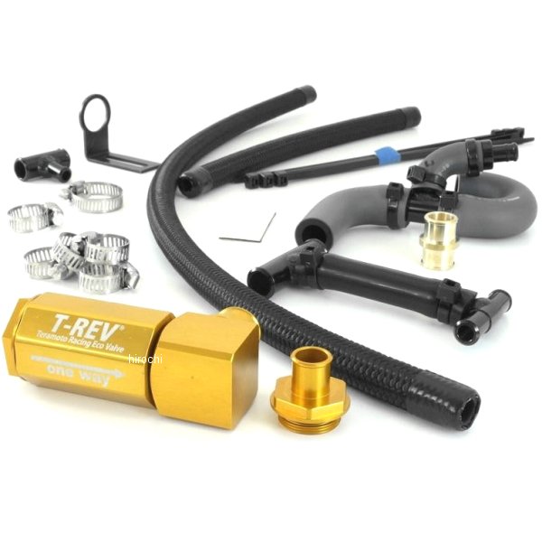 テラモト TERAMONO T-REV αシステム ZRX1200R、ZRX1200S ゴールド