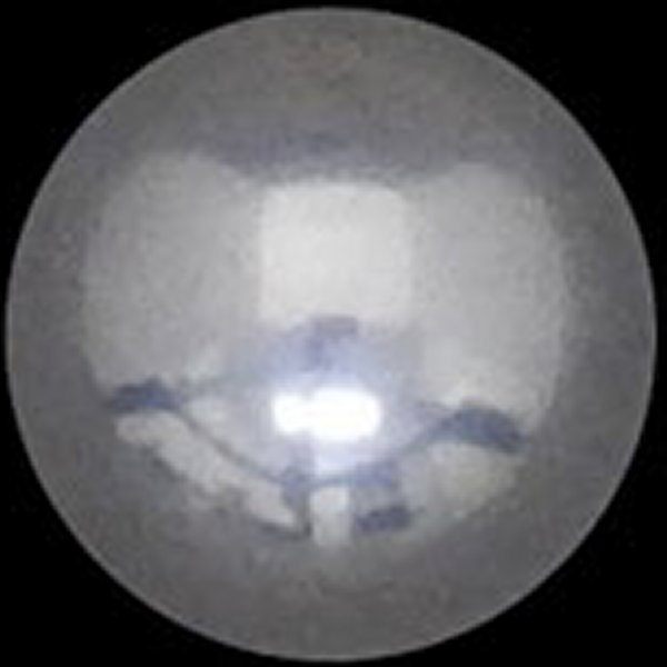 50-8091  オイルポンプ用  ボールチェック 1個売り 8866、8873