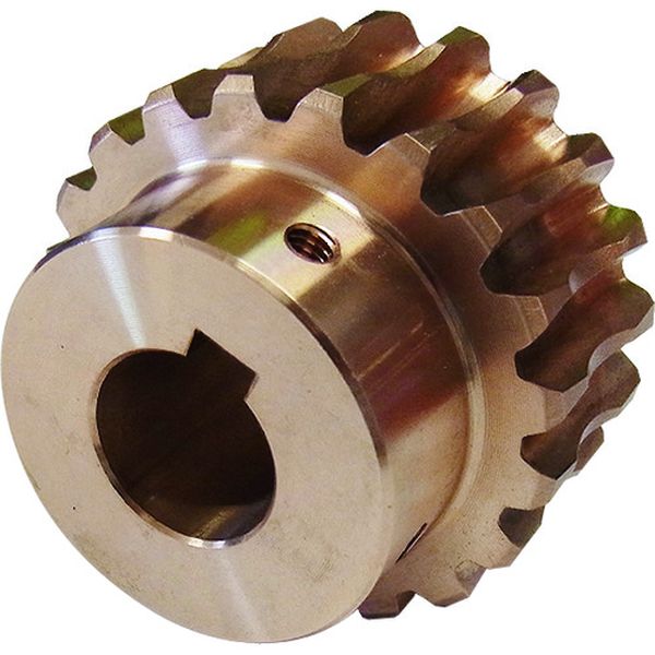 BG320R1J25 209-6349  ウォームホイール