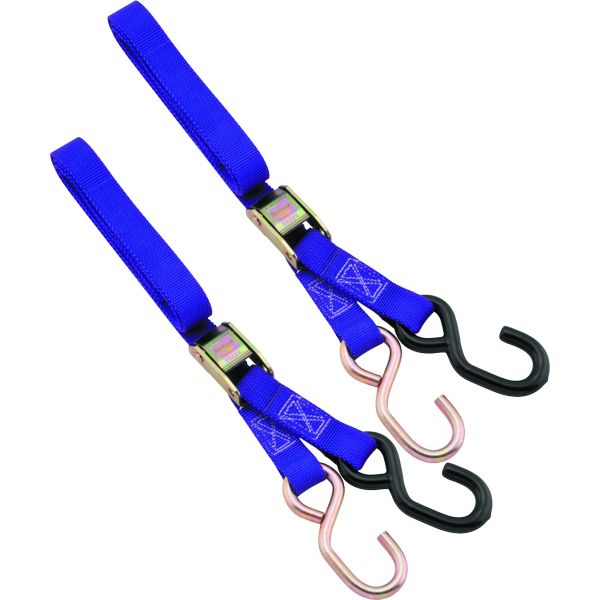BikeMaster 1in Tiedown - Purple