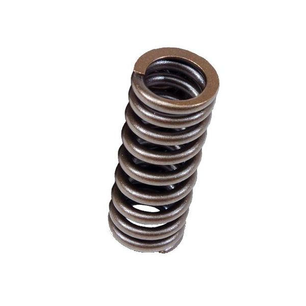 Valve Springs for D-series SOHC VTEC D16Z-Y (1.6L SOHC VTEC)