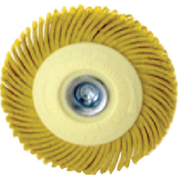 BRMGRT8050  ラジアル・ブリッスルマーガレットディスク ＃80相当 50.8mm 5個入り