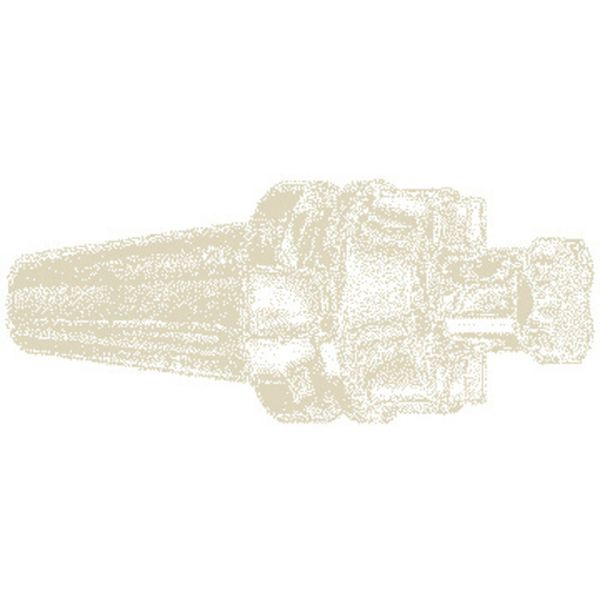 Ｘ　イスカル／ＥＴＭ