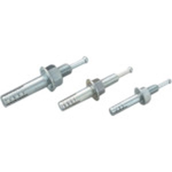 ルーティアンカー　Ｃタイプ（三価クロメート）　 50本入り