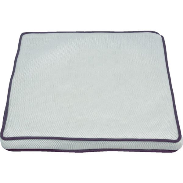 エアリークッション