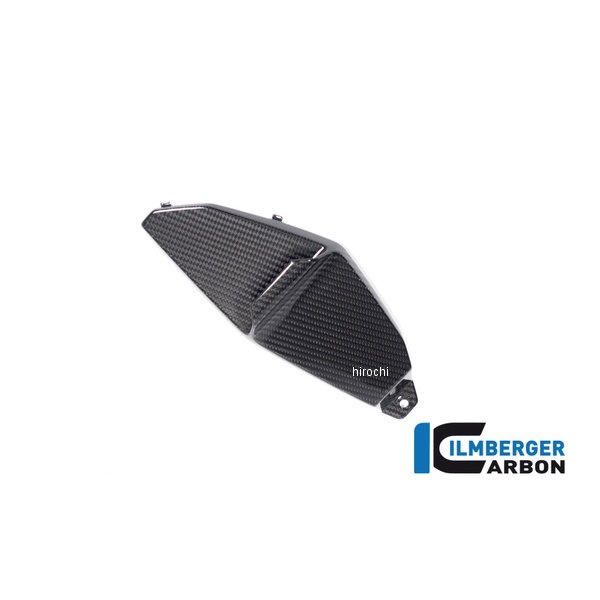 ロアーウイング 左側 カーボングロッシー BMW M1000XR 24-25