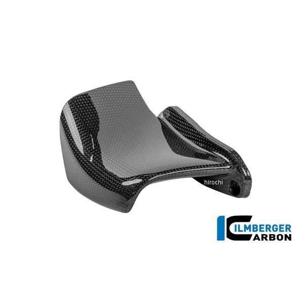 ウイングレットキット 右側 カーボングロッシー ドゥカティ Streetfighter V4/S 25