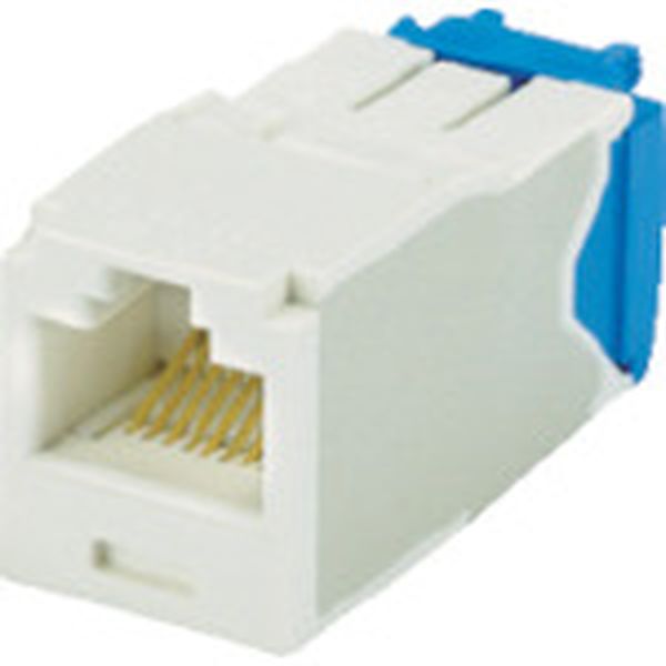 カテゴリ６Ａモジュラージャック　オフホワイト