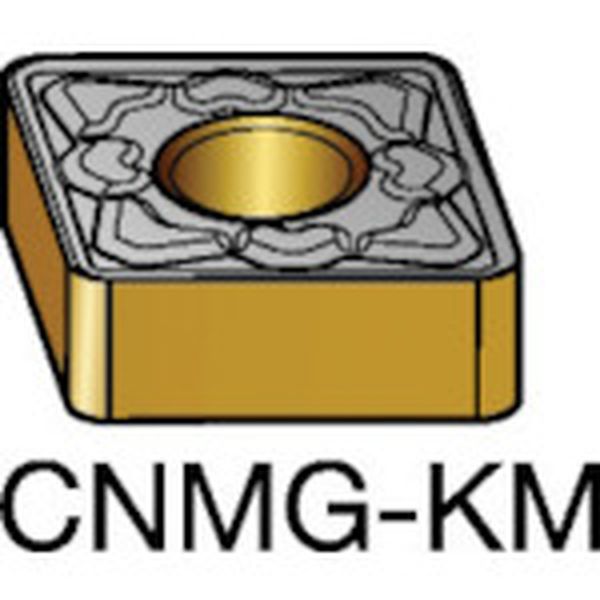 チップ COAT 10個入り