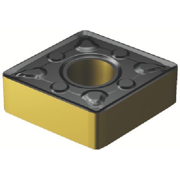 120412WMX   T-MAXPチップ COAT 10個入り