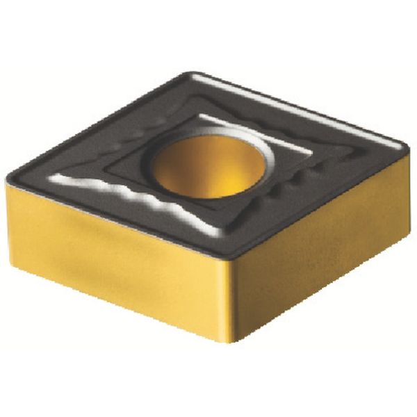 160616MR   T-MAXPチップ COAT 10個入り