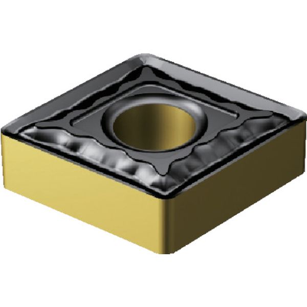 T-MAXPチップ COAT 10個入り