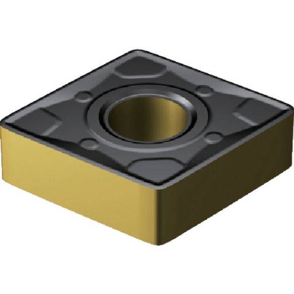 190616WR   T-MAXPチップ 4315 COAT 10個入り