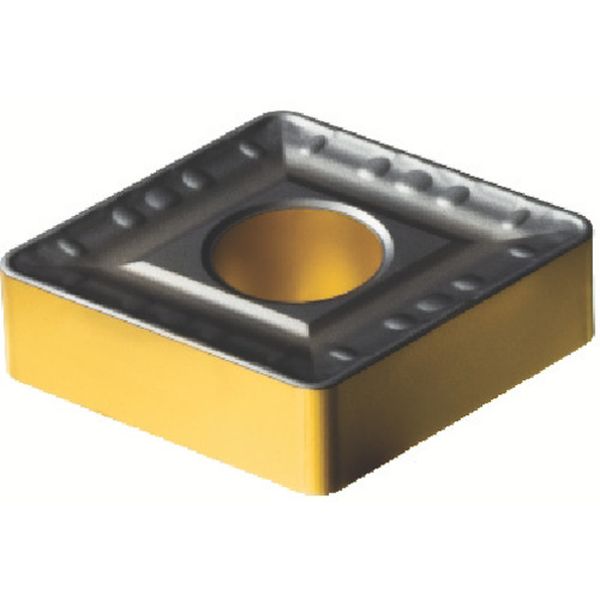 250924HR   T-MAXPチップ COAT 5個入り